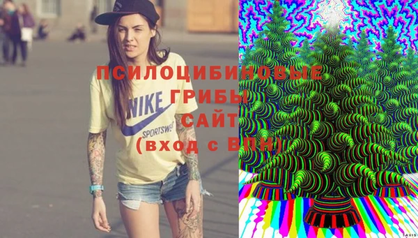 ешки Бугульма